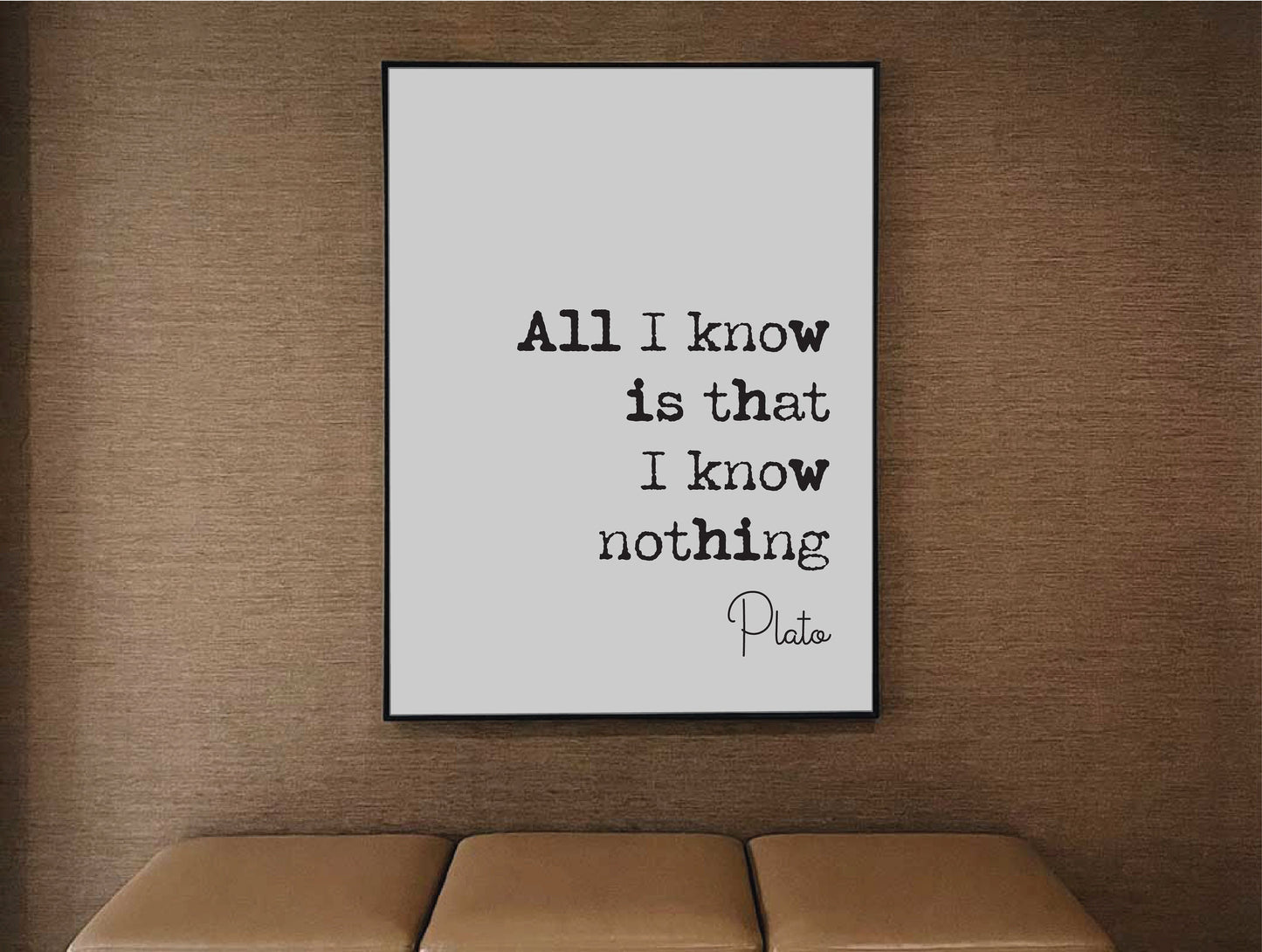 Plato Quote Print All I Know Is That I Know Nothing Minimalist Home Decor Greek Philosophy Wall Art Unframed Living Room Decor Home Office