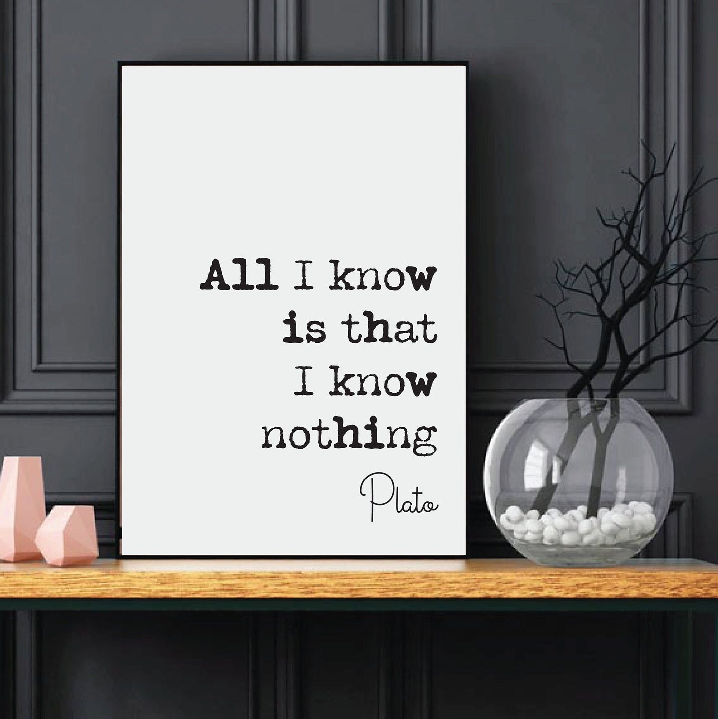 Plato Quote Print All I Know Is That I Know Nothing Minimalist Home Decor Greek Philosophy Wall Art Unframed Living Room Decor Home Office