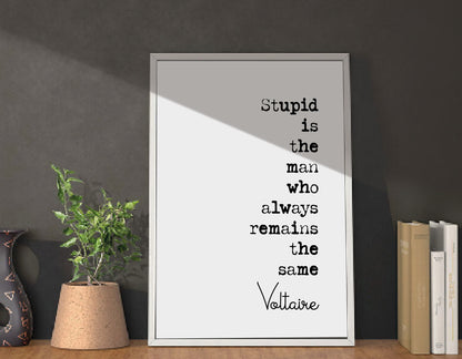 Voltaire Quote Print Stupid Is The Man Who Always Remains The Same Minimalist Home Decor Monochrome Wall Art Unframed Black And White Poster