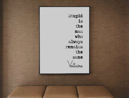 Voltaire Quote Print Stupid Is The Man Who Always Remains The Same Minimalist Home Decor Monochrome Wall Art Unframed Black And White Poster