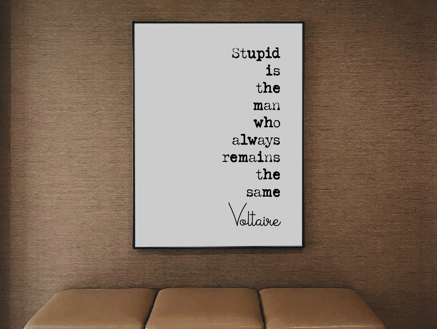 Voltaire Quote Print Stupid Is The Man Who Always Remains The Same Minimalist Home Decor Monochrome Wall Art Unframed Black And White Poster