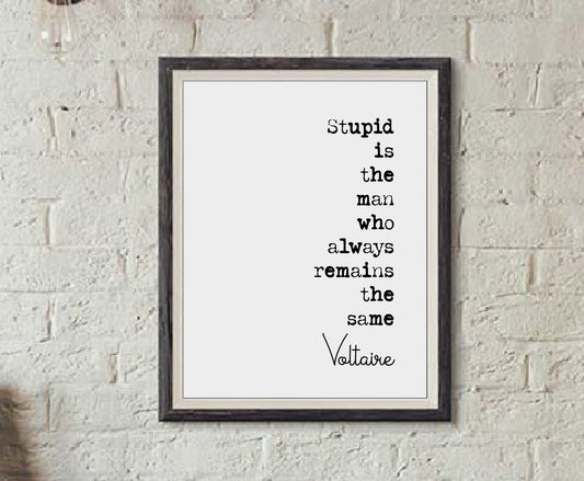 Voltaire Quote Print Stupid Is The Man Who Always Remains The Same Minimalist Home Decor Monochrome Wall Art Unframed Black And White Poster